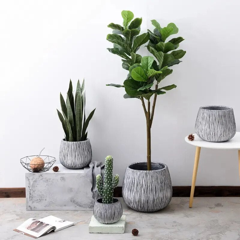 Elevate Your Home and Office Decor with Modern Round Plant Pots