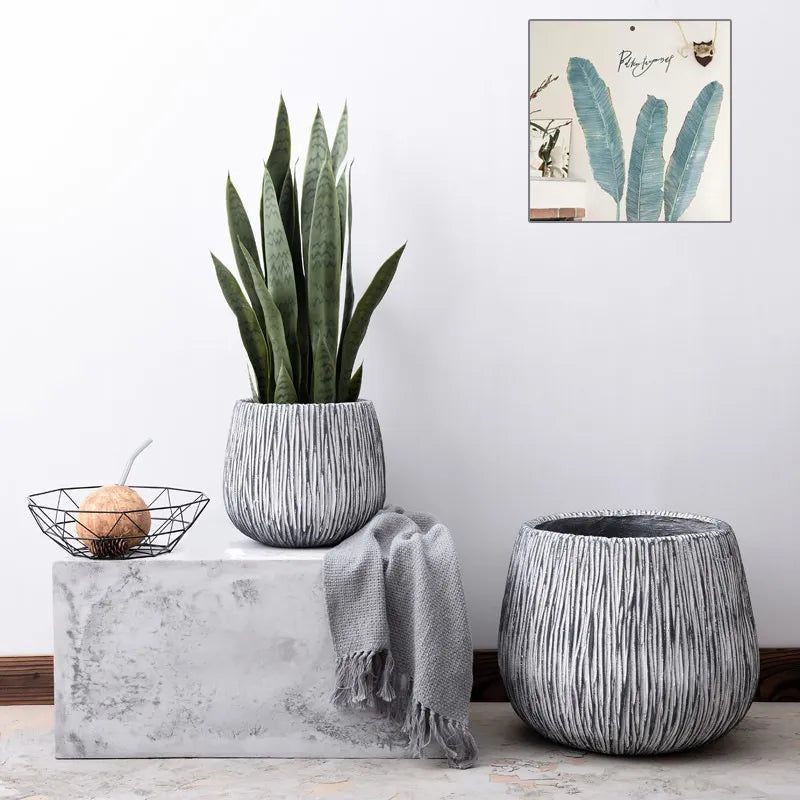 Elevate Your Home and Office Decor with Modern Round Plant Pots