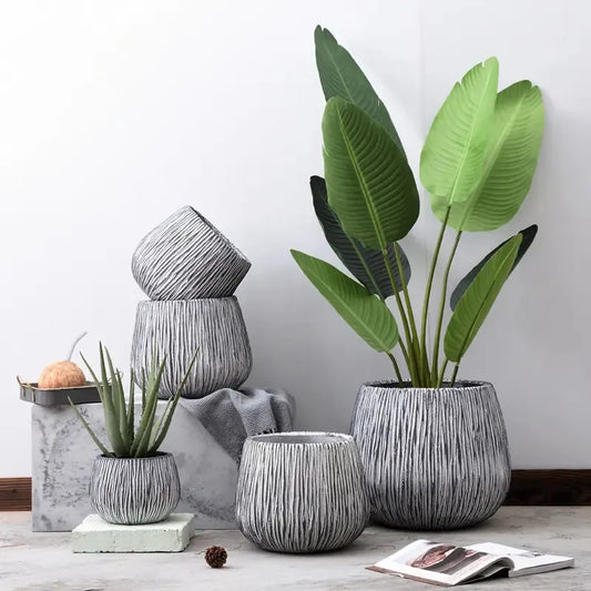 Elevate Your Home and Office Decor with Modern Round Plant Pots