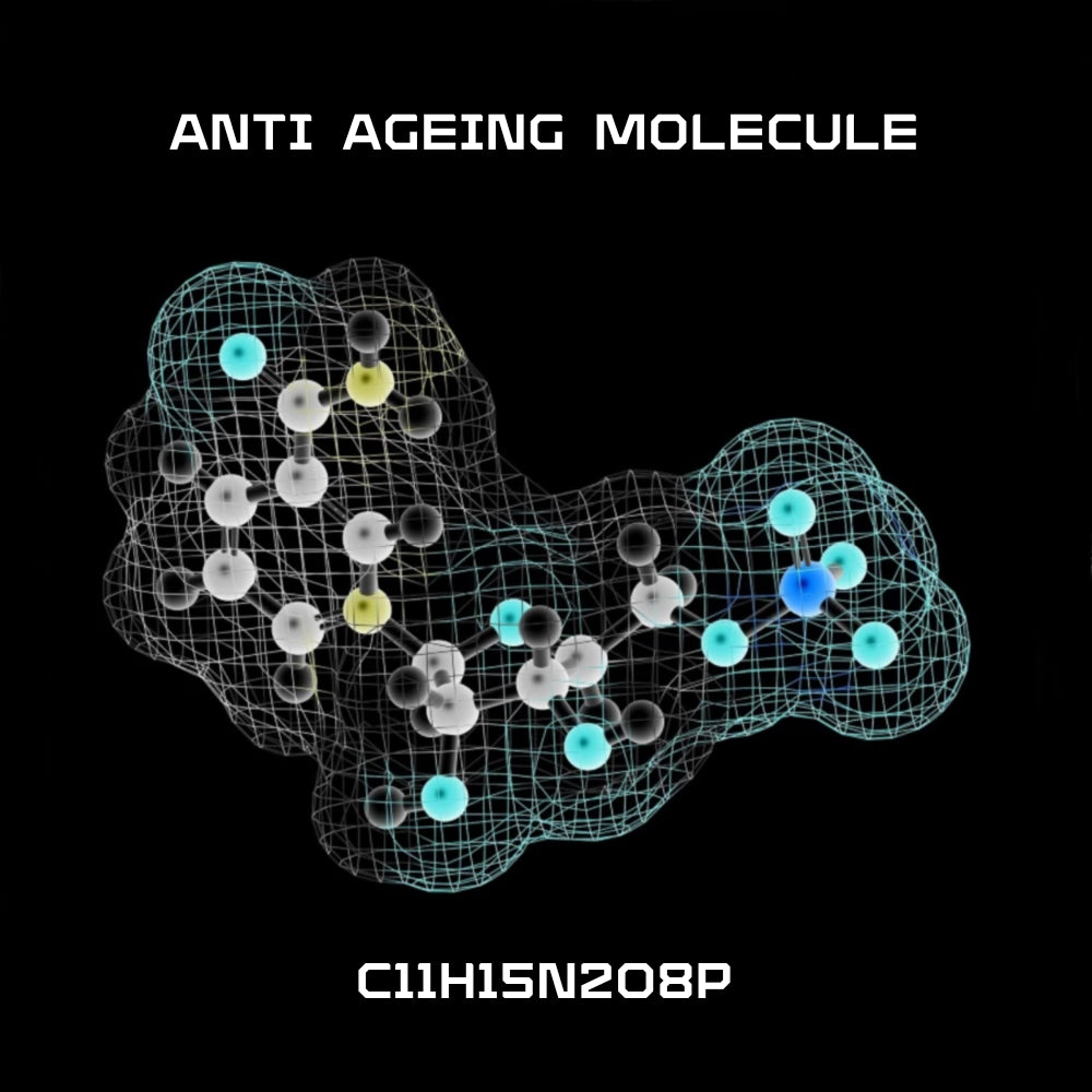 NMN Supplement - Anti Ageing Molecule. Revitalize & Reinvigorate your health